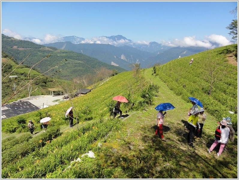 2012-08-14 09-38-04早上暢遊太麻里金針山.jpg